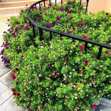 Ocean View Apartament *