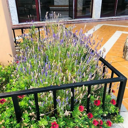 Apartament Ocean View Costa Adeje (Tenerife)