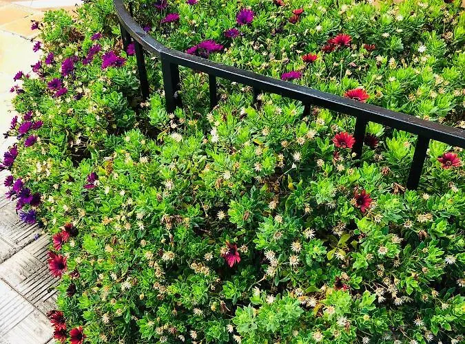 Ocean View Appartamento *