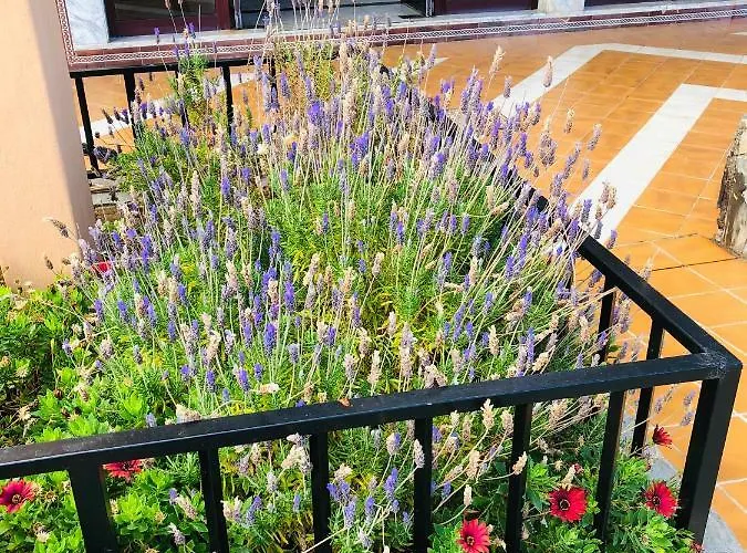 Appartamento Ocean View Costa Adeje (Tenerife)