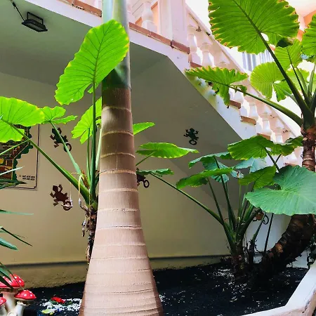 Ocean View Apartamento *